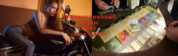 эйфоретик Бронницы
