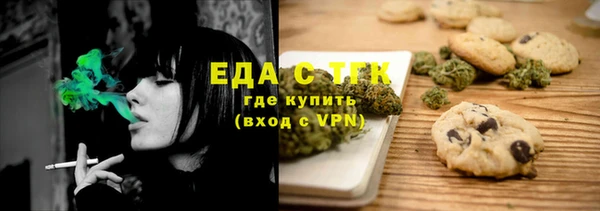 гашик Бородино