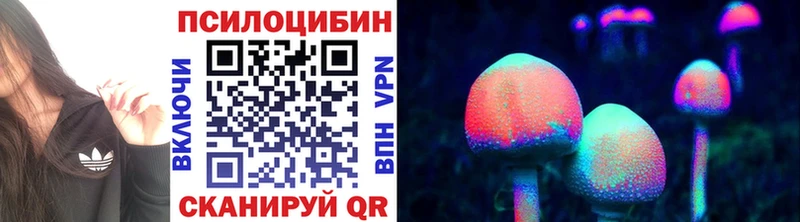 Псилоцибиновые грибы MAGIC MUSHROOMS  Купить где  Прохладный 