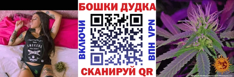 Каннабис гибрид  Купить закладки  Прохладный 